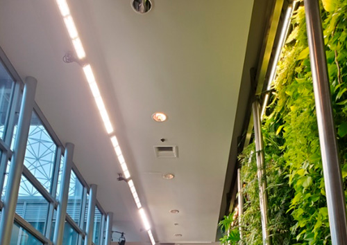 Green Wall Phytosanitary lighting for horticulture
